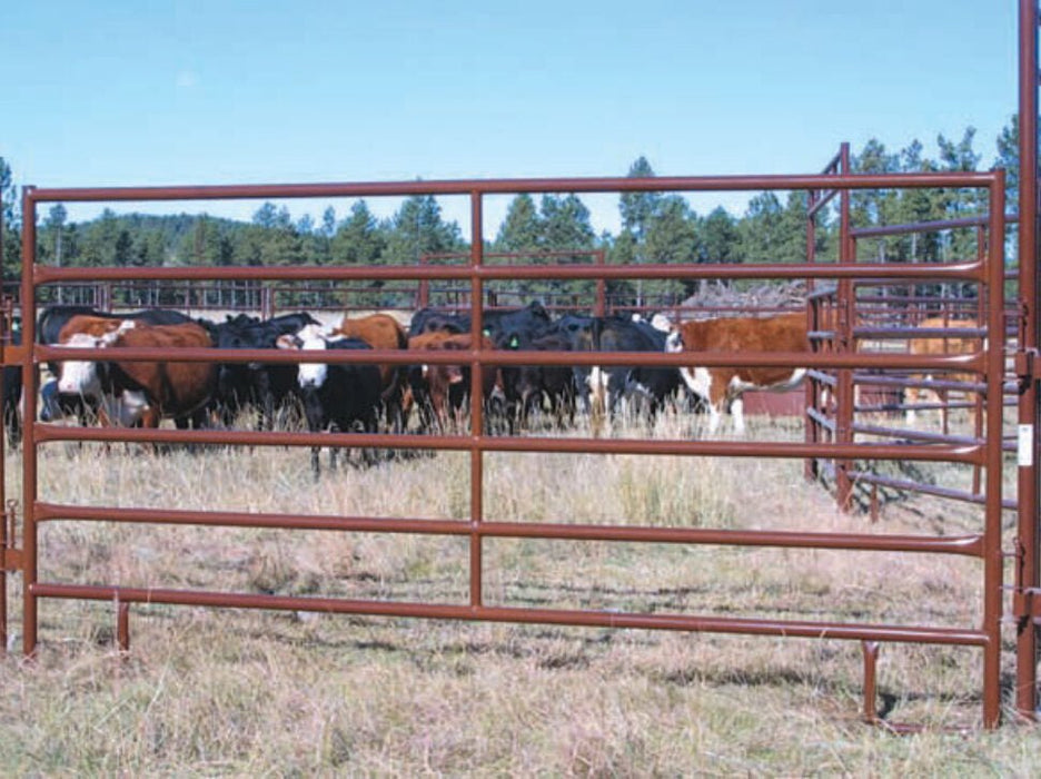 Livestock Panels - Sioux Steel HiQual Heavy Duty Panels - Sioux Steel