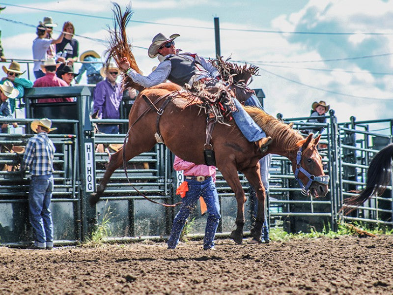 Rodeo Equipment