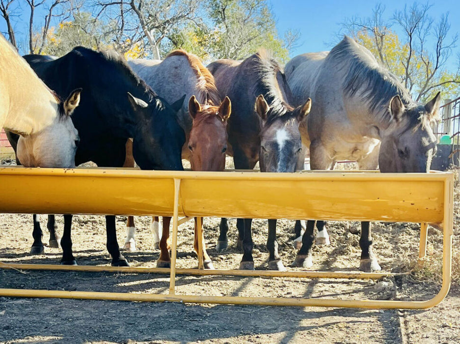 Sioux Steel 12' Bunk Feeder