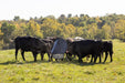 Mineral Feeders - Behlen Country AeroGuard Max Mineral Feeder - Behlen Country