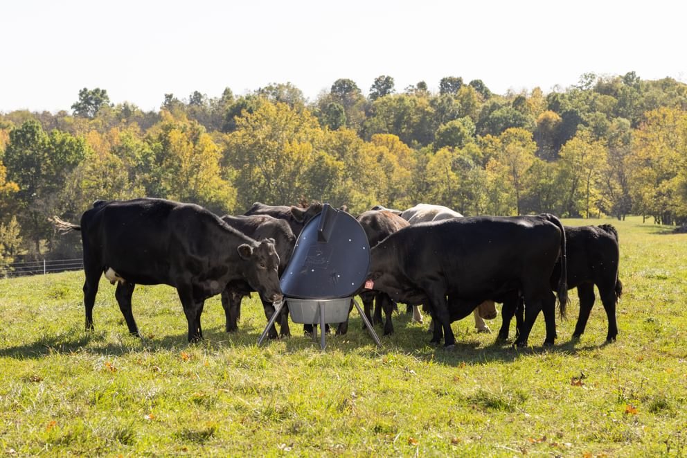 Mineral Feeders - Behlen Country AeroGuard Max Mineral Feeder - Behlen Country