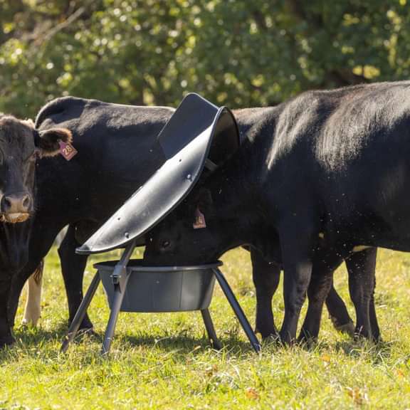 Mineral Feeders - Behlen Country AeroGuard Max Mineral Feeder - Behlen Country