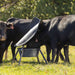 Mineral Feeders - Behlen Country AeroGuard Max Mineral Feeder - Behlen Country