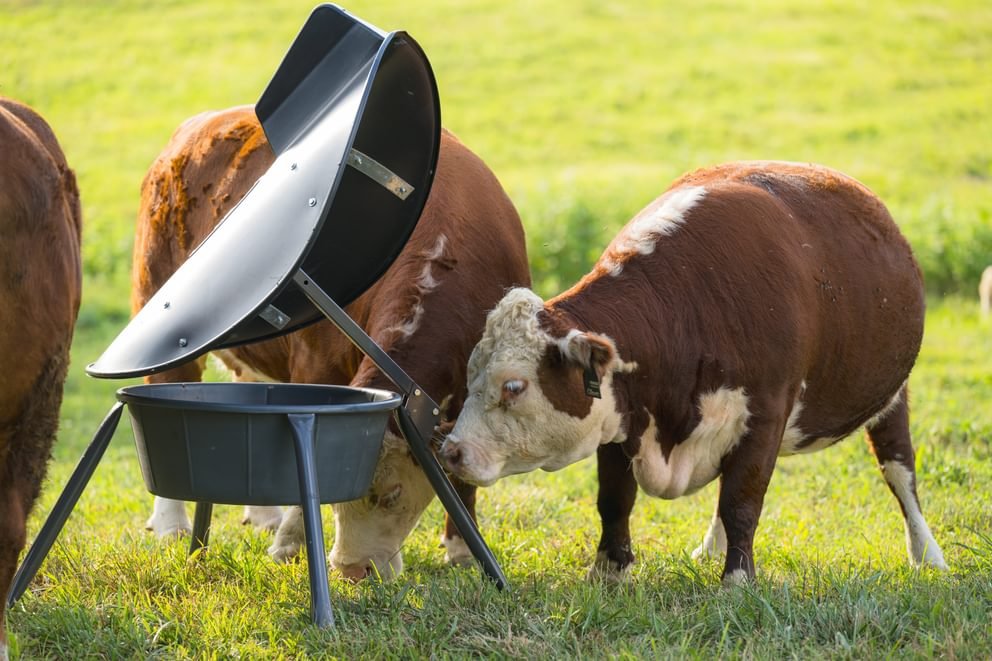 Mineral Feeders - Behlen Country AeroGuard Max Mineral Feeder - Behlen Country