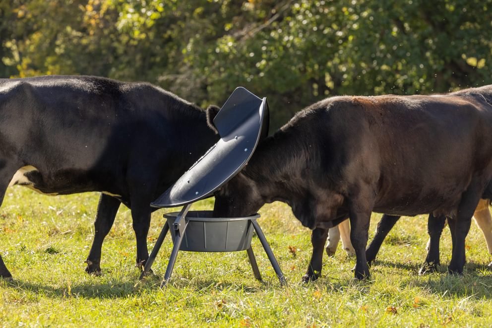 Mineral Feeders - Behlen Country AeroGuard Max Mineral Feeder - Behlen Country