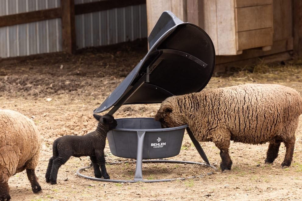 Mineral Feeders - Behlen Country AeroGuard Mini Mineral Feeder - Behlen Country