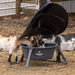 Mineral Feeders - Behlen Country AeroGuard Mini Mineral Feeder - Behlen Country