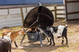 Mineral Feeders - Behlen Country AeroGuard Mini Mineral Feeder - Behlen Country