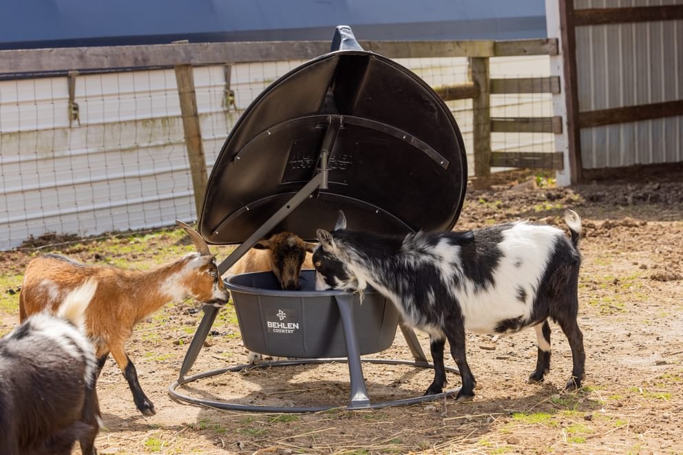 Mineral Feeders - Behlen Country AeroGuard Mini Mineral Feeder - Behlen Country