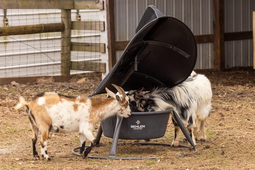 Mineral Feeders - Behlen Country AeroGuard Mini Mineral Feeder - Behlen Country