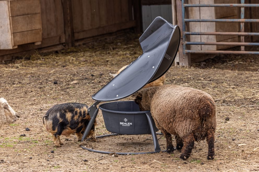 Mineral Feeders - Behlen Country AeroGuard Mini Mineral Feeder - Behlen Country