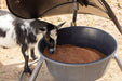 Mineral Feeders - Behlen Country AeroGuard Mini Mineral Feeder - Behlen Country