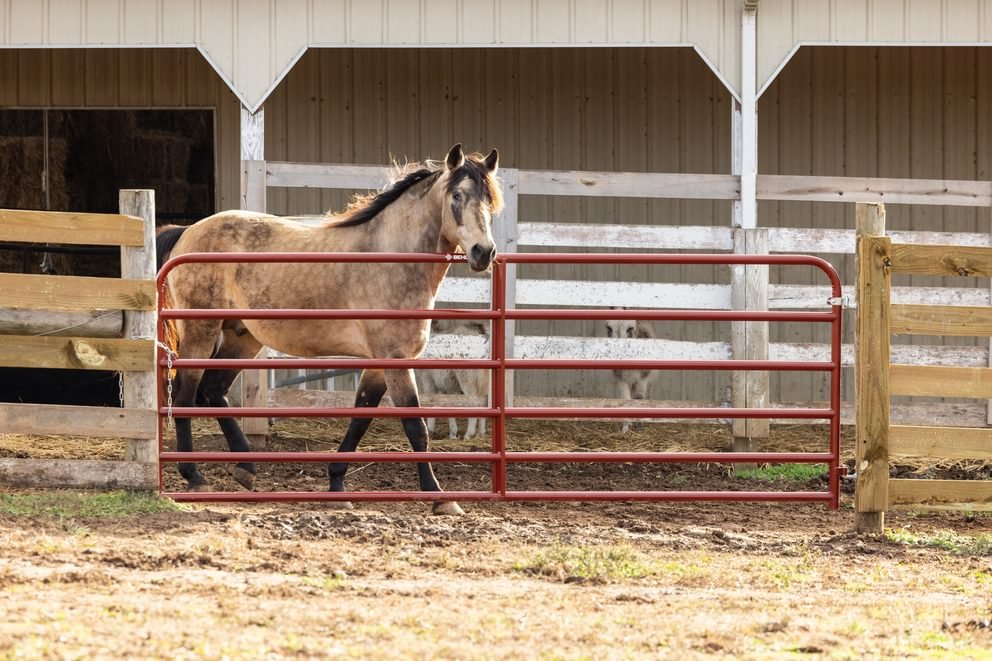 Gates - Behlen Country AgStar Gate - Behlen Country