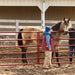 Gates - Behlen Country AgStar Gate - Behlen Country