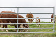 Gates - Behlen Country AgStar Gate - Behlen Country