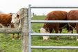 Gates - Behlen Country AgStar Gate - Behlen Country