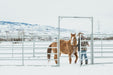 Panels & Gates - Behlen Country Arena Max XT Panels - Behlen Country