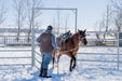 Panels & Gates - Behlen Country Arena Max XT Panels - Behlen Country