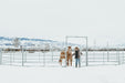 Panels & Gates - Behlen Country Arena Max XT Panels - Behlen Country