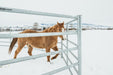 Panels & Gates - Behlen Country Arena Max XT Panels - Behlen Country
