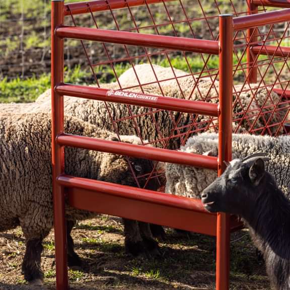 Livestock Feeders - Behlen Country ArmorGuard All - in - One Feed Station - Behlen Country