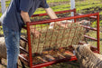 Livestock Feeders - Behlen Country ArmorGuard All - in - One Feed Station - Behlen Country