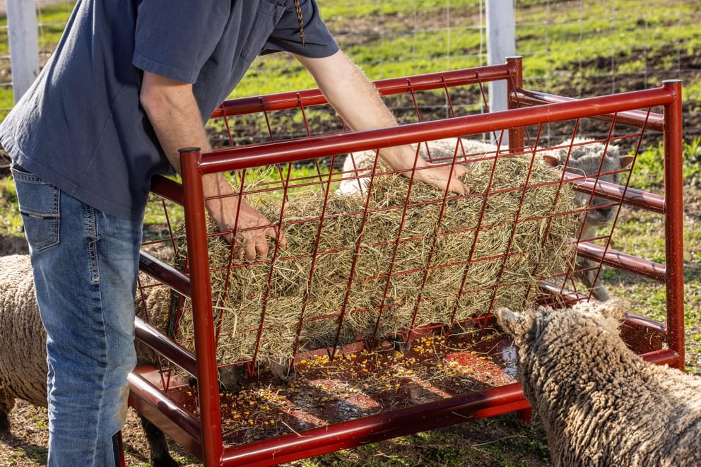 Livestock Feeders - Behlen Country ArmorGuard All - in - One Feed Station - Behlen Country