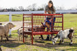 Livestock Feeders - Behlen Country ArmorGuard All - in - One Feed Station - Behlen Country