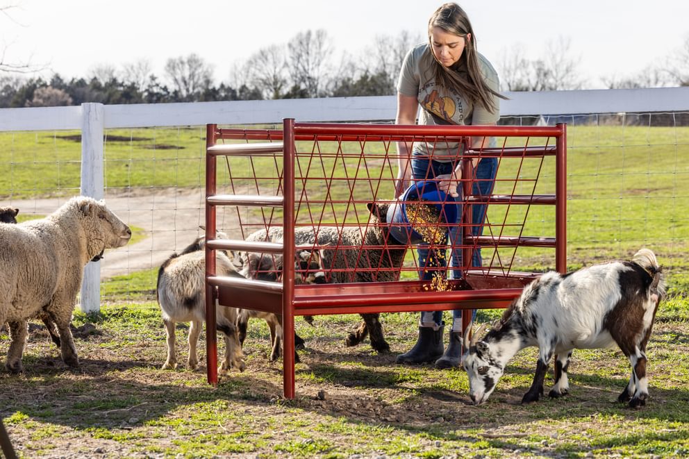 Livestock Feeders - Behlen Country ArmorGuard All - in - One Feed Station - Behlen Country