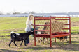 Livestock Feeders - Behlen Country ArmorGuard All - in - One Feed Station - Behlen Country