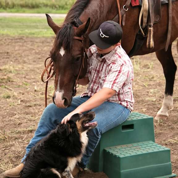 Equine Equipment - Behlen Country Barn Buddy Step - Behlen Country
