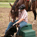 Equine Equipment - Behlen Country Barn Buddy Step - Behlen Country