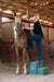 Equine Equipment - Behlen Country Barn Buddy Step - Behlen Country