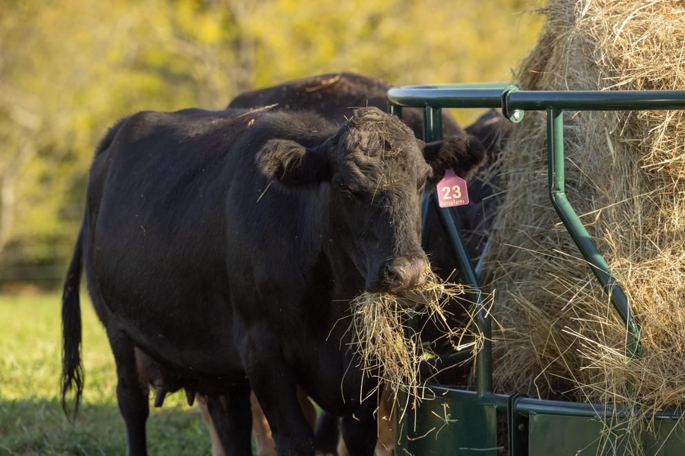 Bale Feeders - Behlen Country Big Valley Bale Feeder - Behlen Country