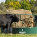 Bale Feeders - Behlen Country Big Valley Bale Feeder - Behlen Country
