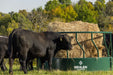 Bale Feeders - Behlen Country Big Valley Bale Feeder - Behlen Country