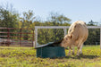 Mineral Feeders - Behlen Country Big Valley Mineral Feeder - Behlen Country
