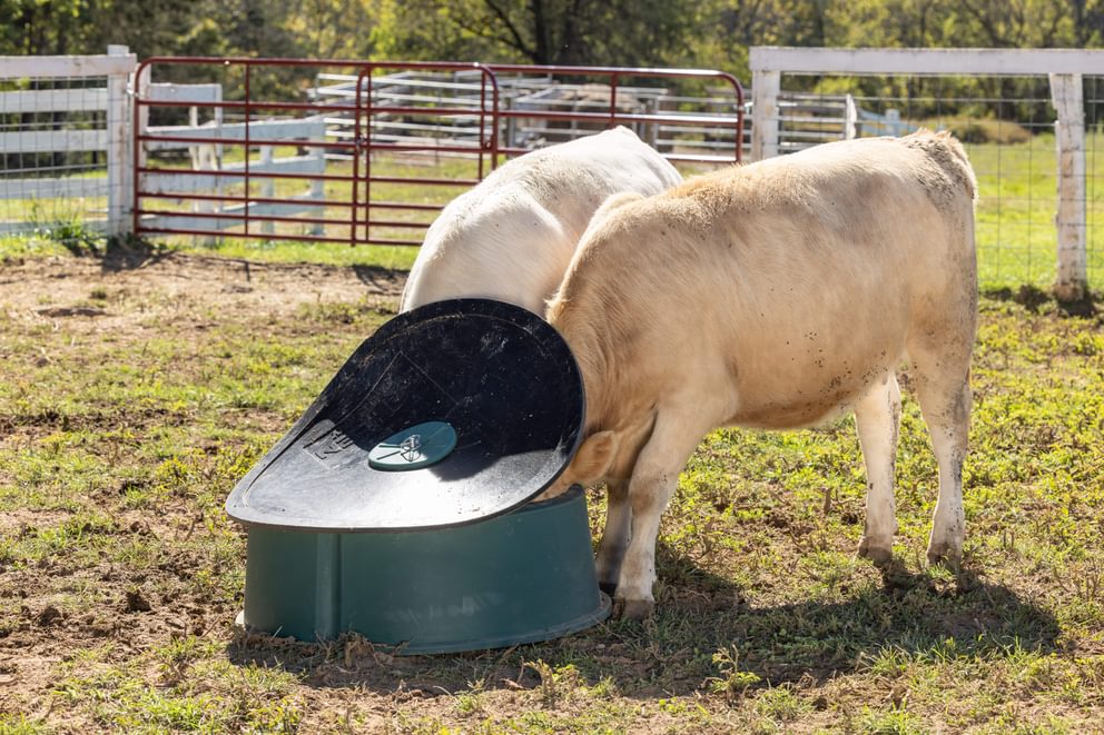 Mineral Feeders - Behlen Country Big Valley Mineral Feeder - Behlen Country