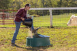 Mineral Feeders - Behlen Country Big Valley Mineral Feeder - Behlen Country