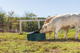 Mineral Feeders - Behlen Country Big Valley Mineral Feeder - Behlen Country