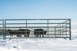Panels & Walk Throughs - Behlen Country Big Valley Panels - Behlen Country
