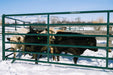 Panels & Walk Throughs - Behlen Country Big Valley Panels - Behlen Country