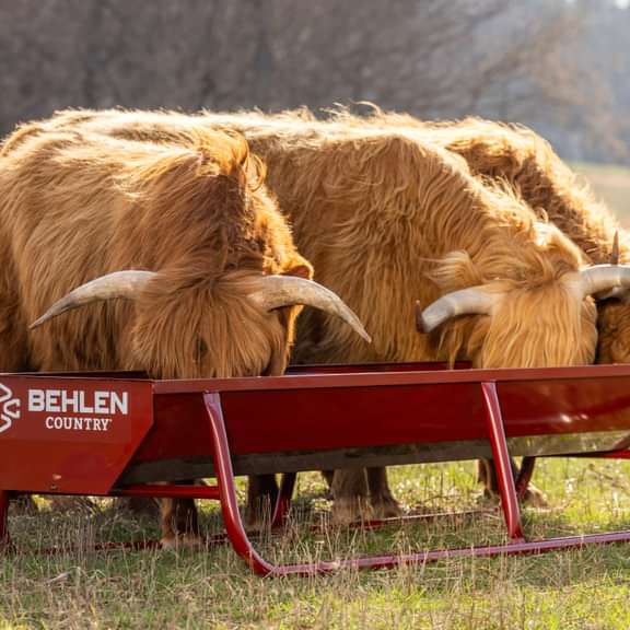 Bunk Feeders - Behlen Country Bighorn Bunk Feeder - Behlen Country