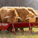Bunk Feeders - Behlen Country Bighorn Bunk Feeder - Behlen Country