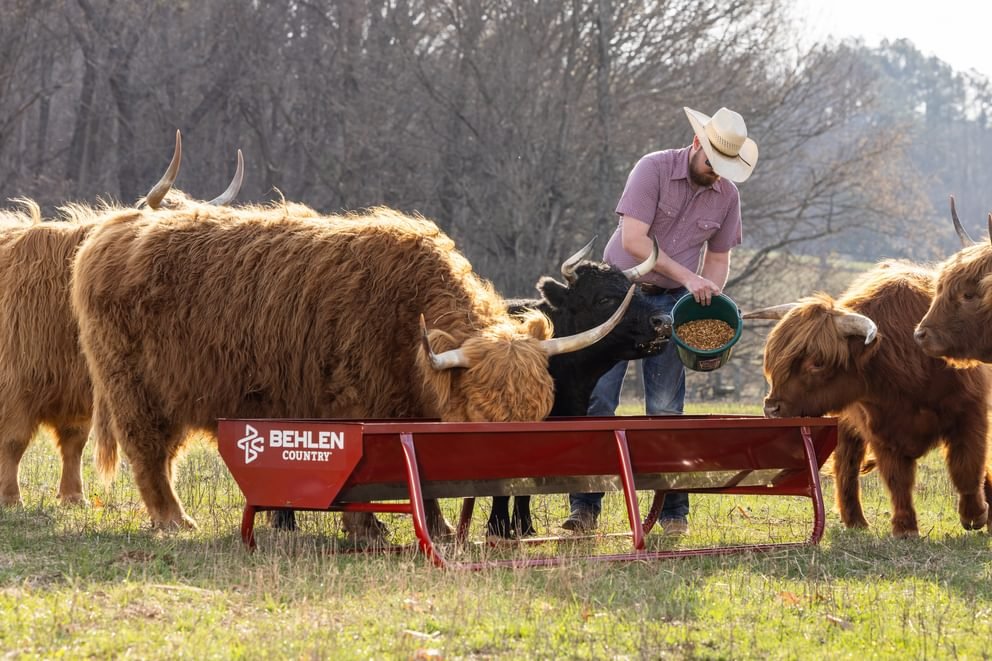 Bunk Feeders - Behlen Country Bighorn Bunk Feeder - Behlen Country