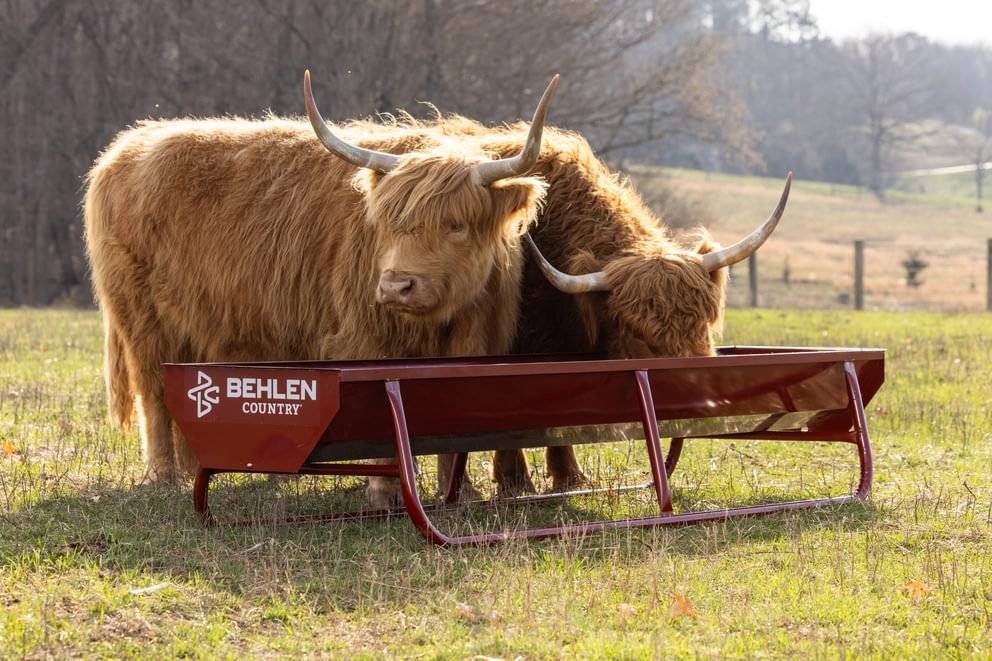 Bunk Feeders - Behlen Country Bighorn Bunk Feeder - Behlen Country