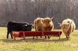 Bunk Feeders - Behlen Country Bighorn Bunk Feeder - Behlen Country