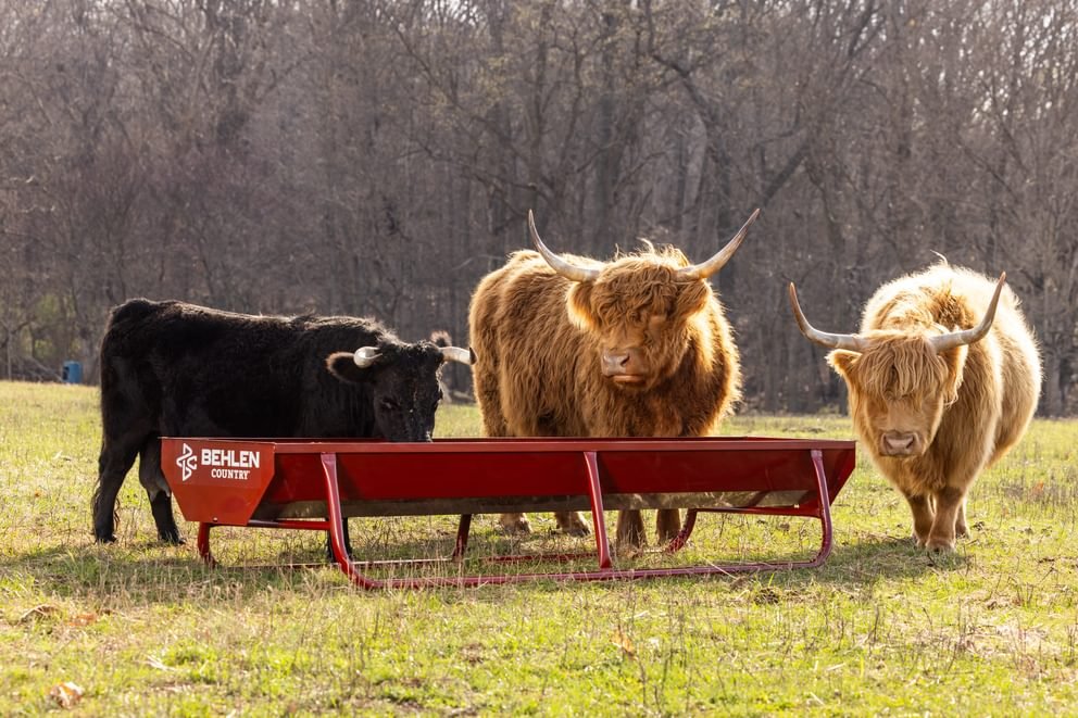 Bunk Feeders - Behlen Country Bighorn Bunk Feeder - Behlen Country