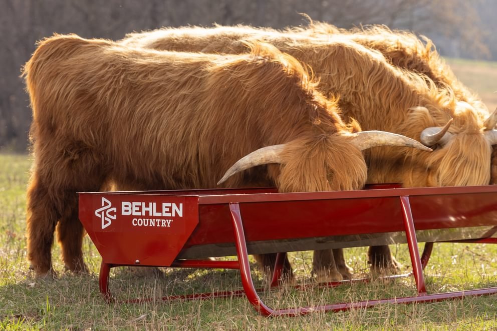 Bunk Feeders - Behlen Country Bighorn Bunk Feeder - Behlen Country