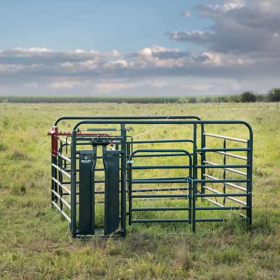 Headgates - Behlen Country Care Center w/CL - 5 Headgate - Behlen Country
